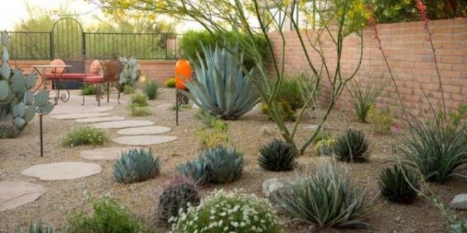 Make your lawn appealing with desert landscaping – TopsDecor.com