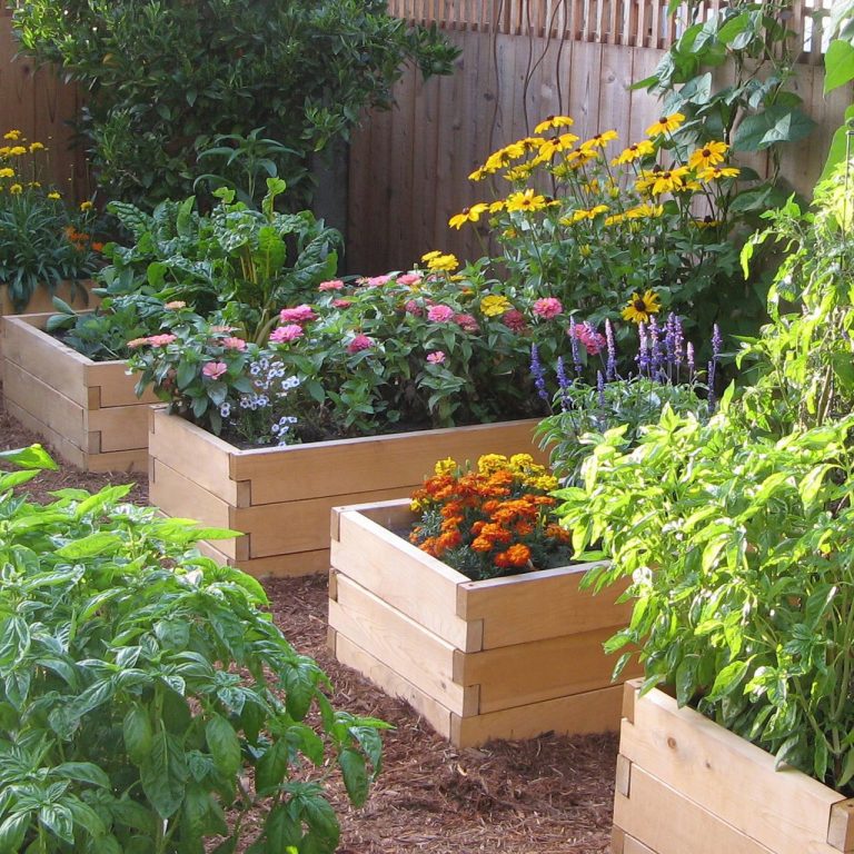 Make your garden more beautiful with garden beds – TopsDecor.com