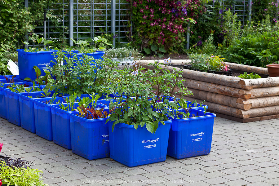 garden containers  50