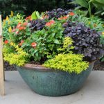 garden containers  95
