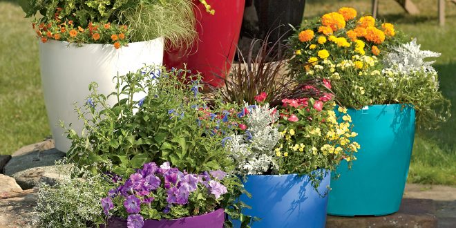 Important things to know before choosing garden pots – TopsDecor.com