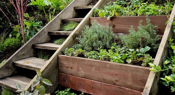 Make your garden more useful with herb garden ideas – TopsDecor.com