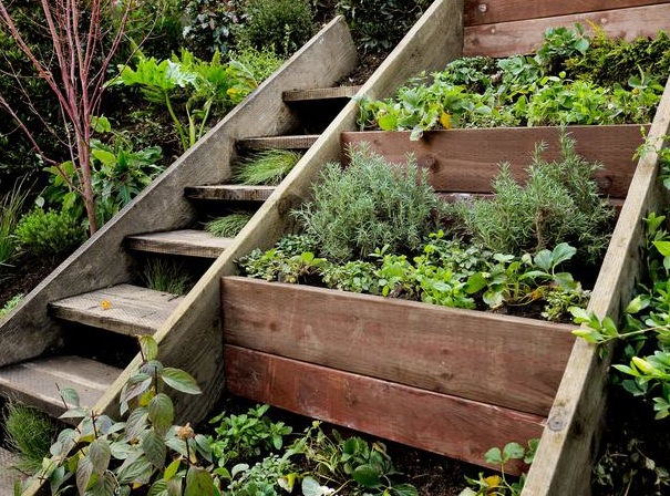 Make your garden more useful with herb garden ideas