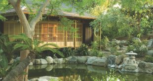 Japanese garden  97