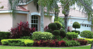 small front yard landscaping  33