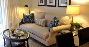 Small Apartment Living - Contemporary - Living Room - Raleigh - by