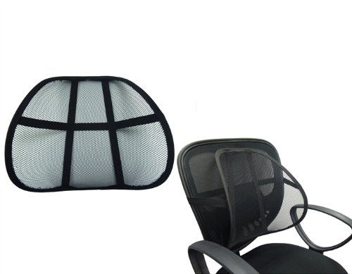 Amazon.com: DG SPORTS Lumbar Support Cushion Seat, Car Home Office