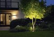 Landscape Lighting | Landscape, Path & Deck Lights at Lumens.com