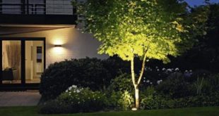 Landscape Lighting | Landscape, Path & Deck Lights at Lumens.com