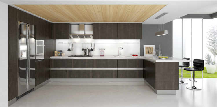 20 Prime Examples of Modern Kitchen Cabinets
