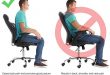 Amazon.com: Easy Posture Lumbar Back Support Mesh (Black Mesh, 1PC