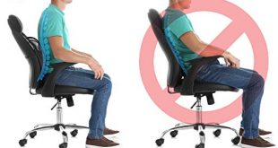 Amazon.com: Easy Posture Lumbar Back Support Mesh (Black Mesh, 1PC