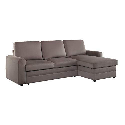 Couch with Pull Out Bed: Amazon.com