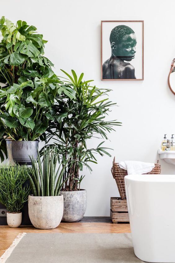 10 summer decorating ideas | Plant decor, Plants, Interior plan