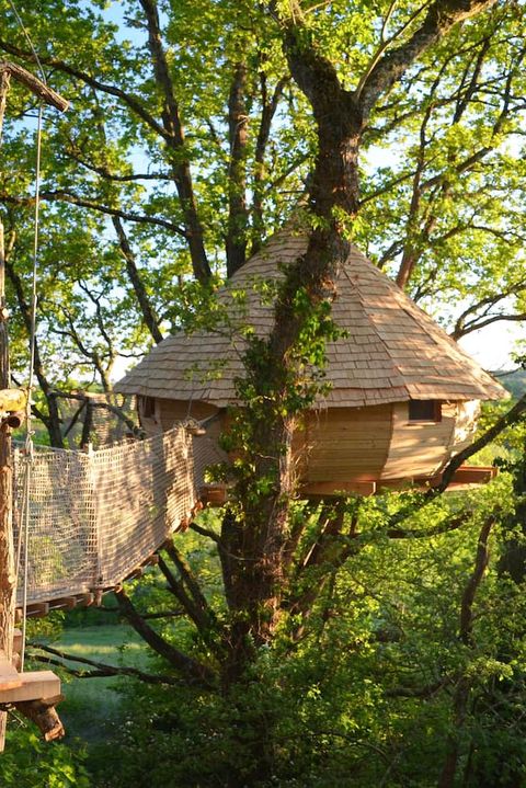 32 Amazing Treehouses You Can Rent in 2020 - Best Tree House Vacatio