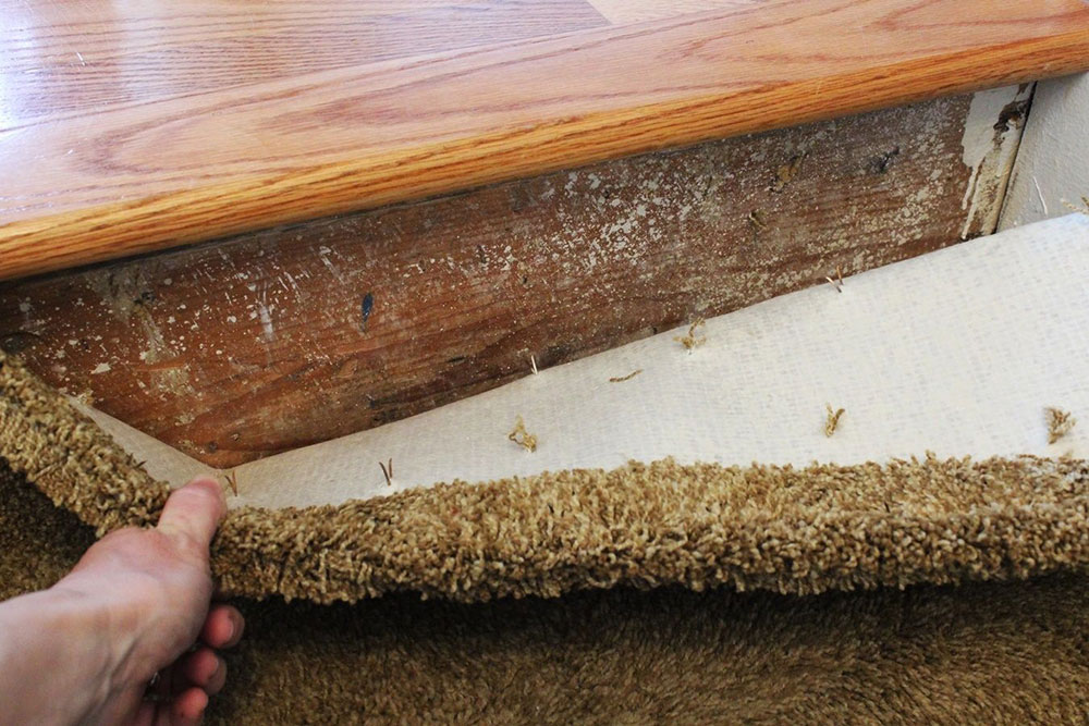 Stairs How to Remove Carpets from Wooden Floors (Quick Start Guide)