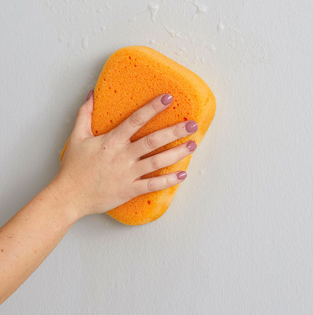 Sponge How to clean walls with flat paint without ruining them