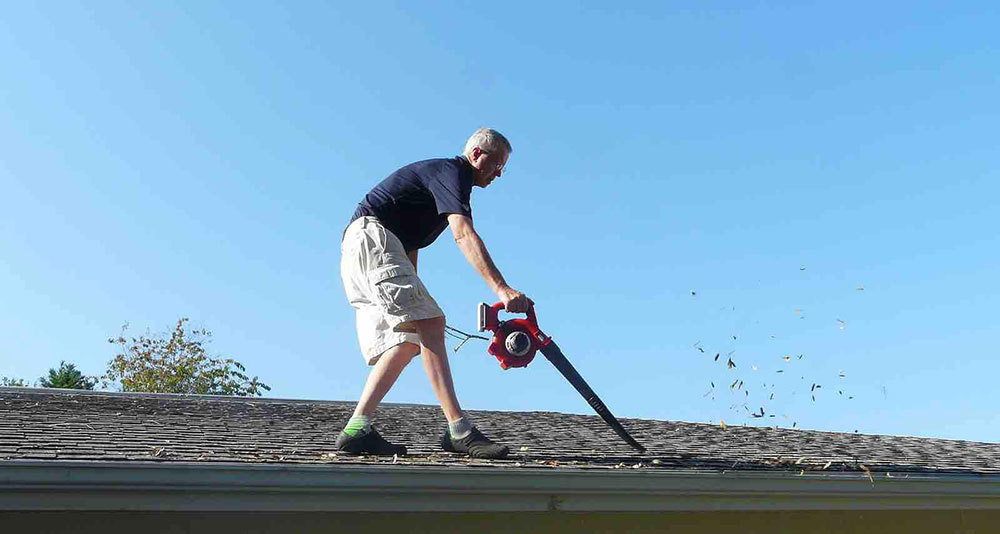 Cleaning Dry Leaves How to naturally remove moss from the roof