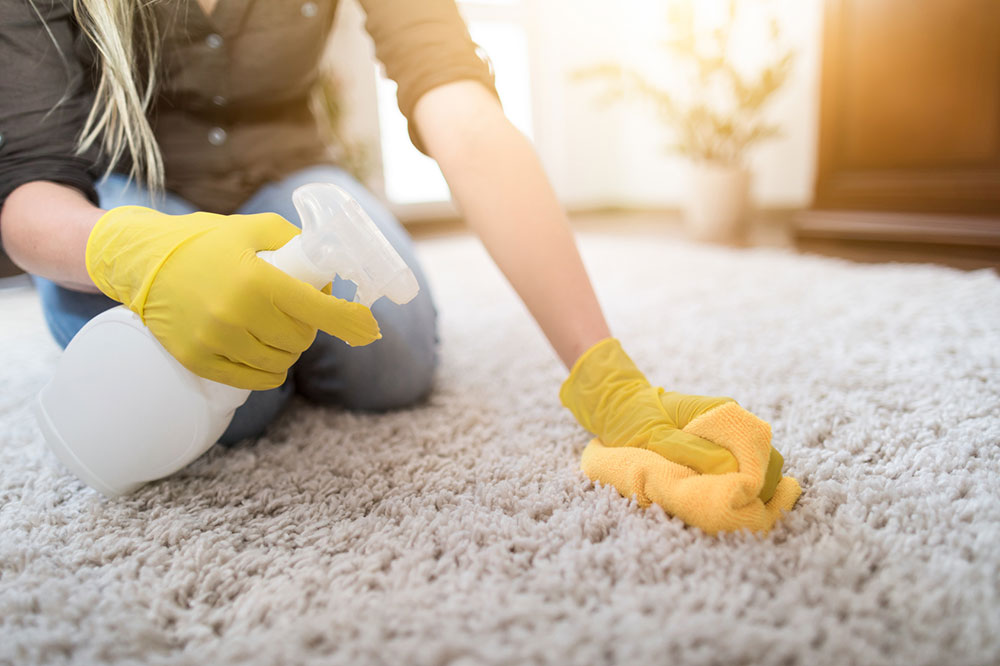 Removing Carpet Mildew-Musty Smells How to Get Rid of Basement Smell?  Quick tips to get it done