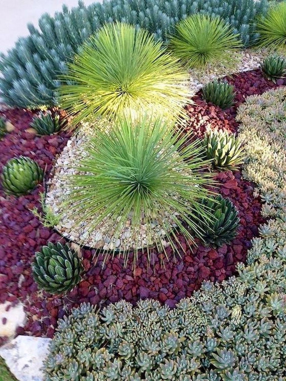 t1-2 Amazing cactus garden ideas to try out for your garden