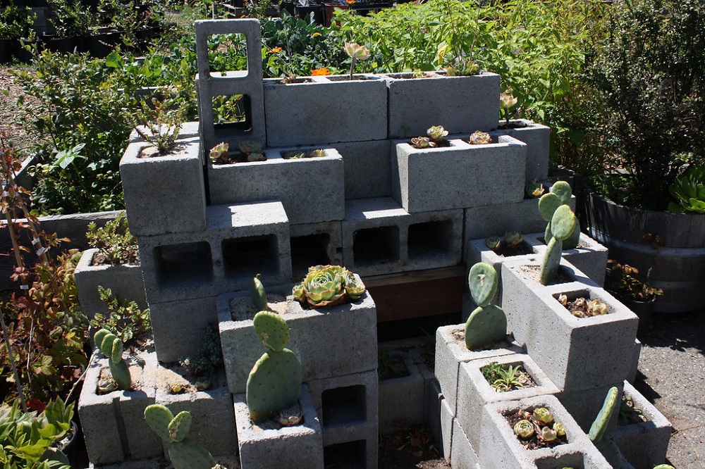 t6-1 Amazing cactus garden ideas to try out for your garden