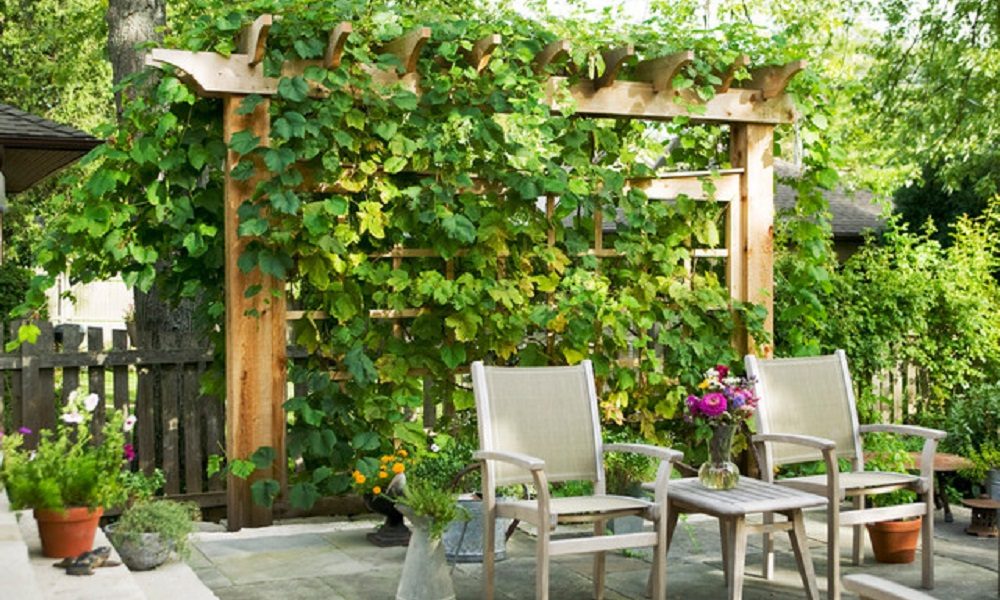 home-design-1-2-1000x600 ideas for garden grids that are inexpensive and look great
