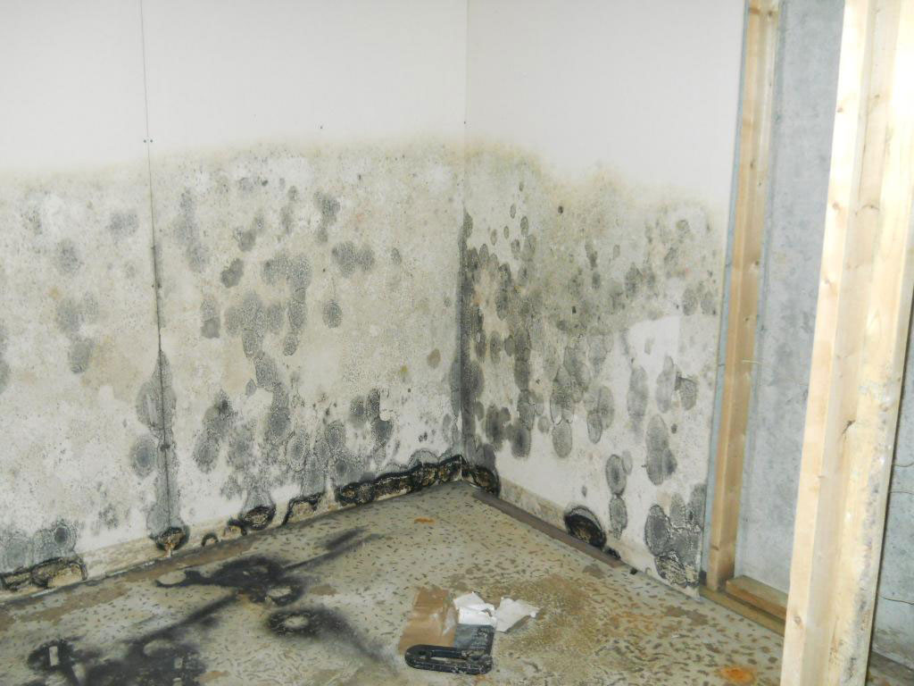 High Sulfur Drywall Disease Drywall alternatives you should consider
