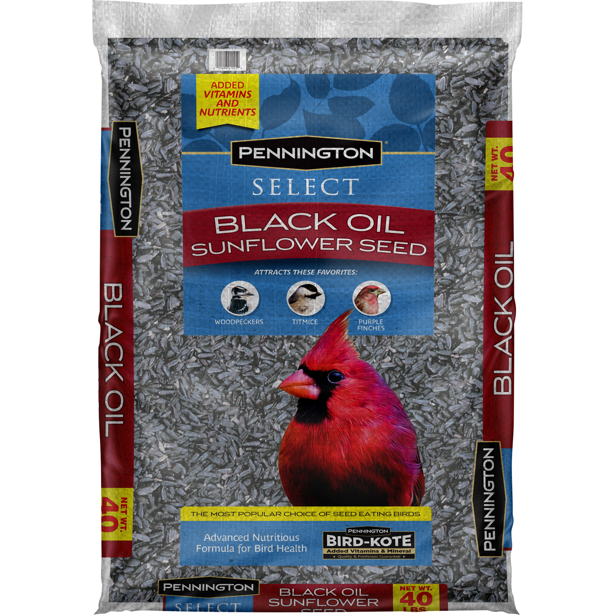 blackoil-sunflower How To Attract Cardinals In The Back Yard Of Your Home (Great Tips)