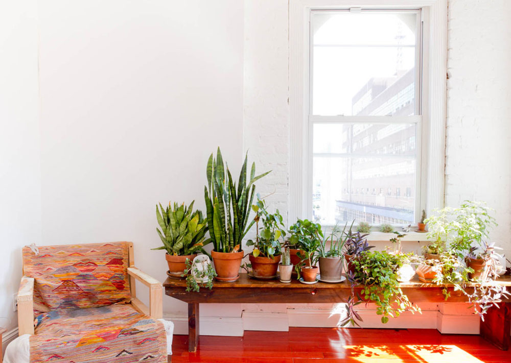 Houzz Tour Eclectic Minimalist Brooklyn Apartment by Rikki Snyder Buying a Plant Stand?  Think about how to decorate with it.