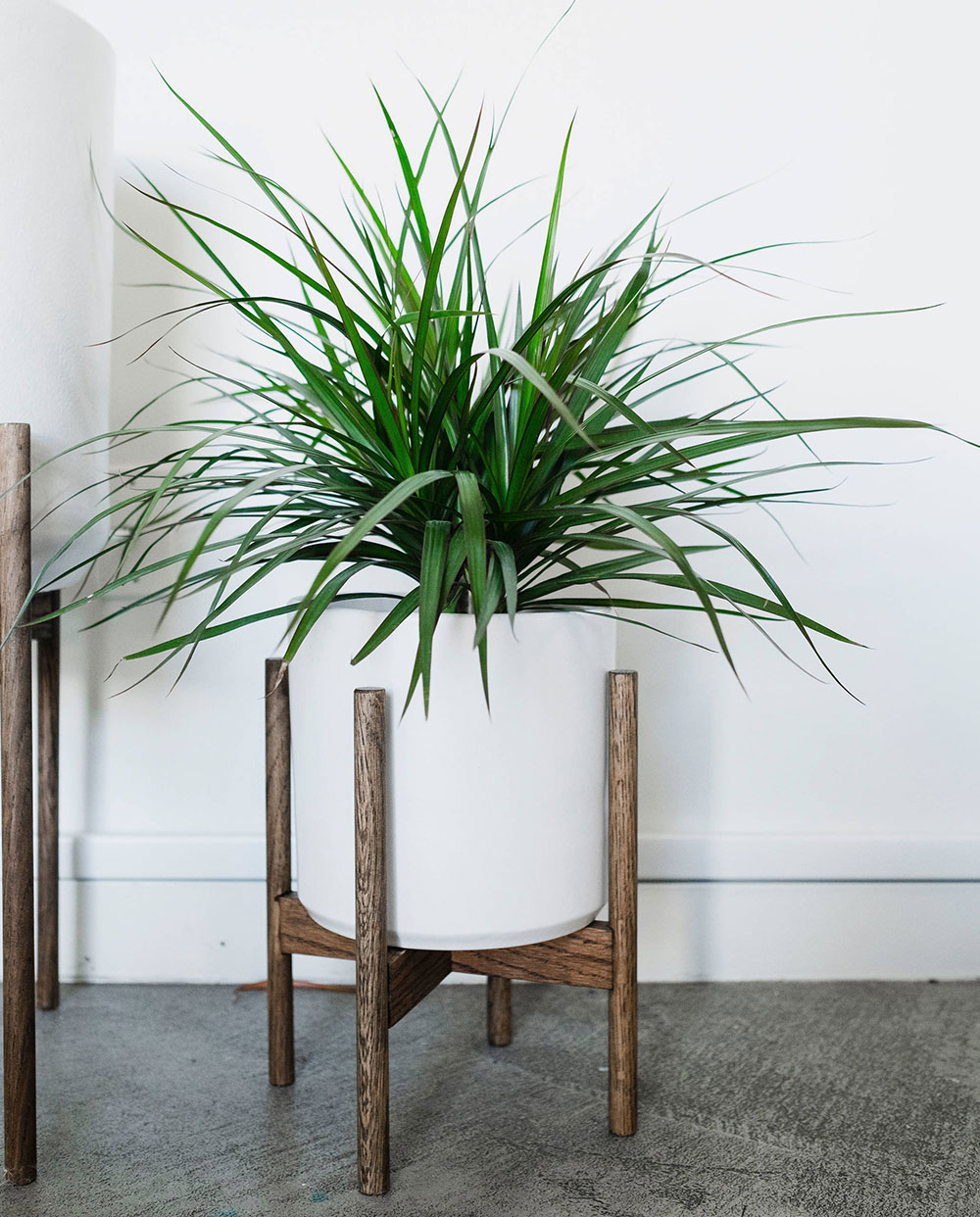 Electric-by-Oh-beauty-Interiors Are you buying a plant stand?  Think about how to decorate with it.