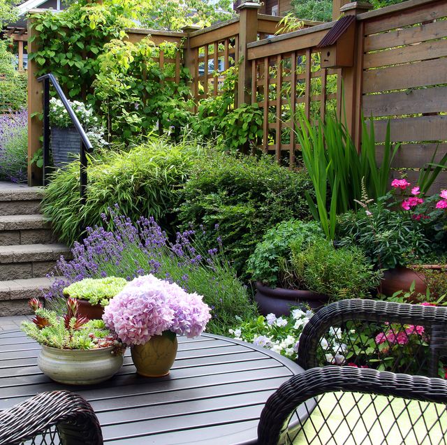 15 Cheap Garden Ideas - Best Garden Ideas On A Budg
