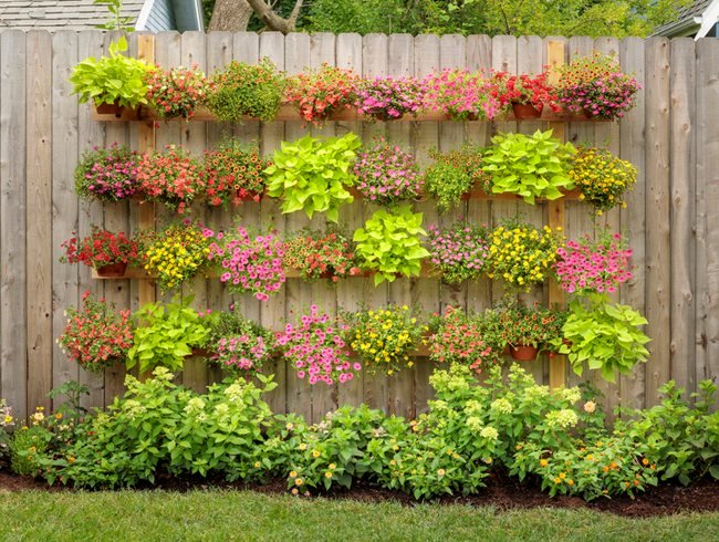 7 remarkable tips to make the most of
your garden