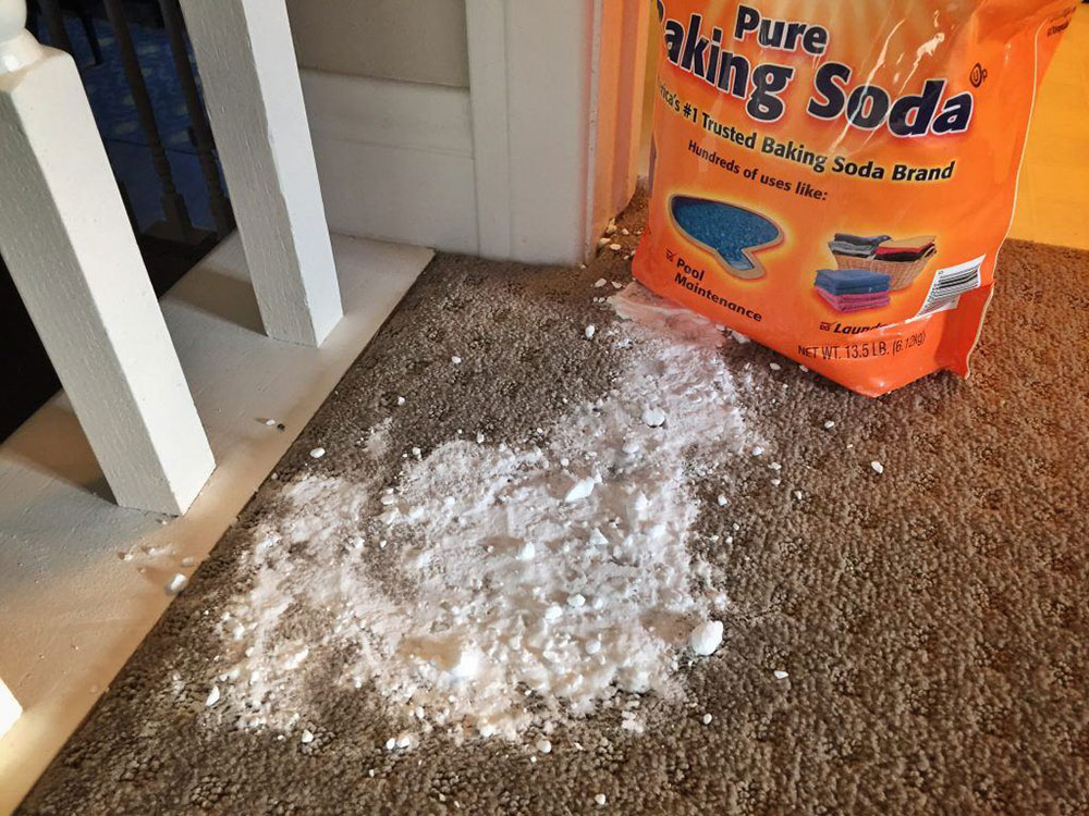 Sodium bicarbonate How to clean a carpet on hardwood floor (Great guide)