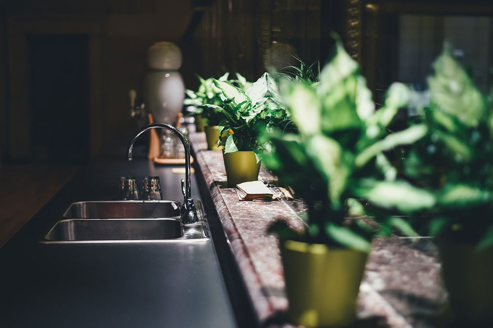 kitchen-1867663_960_720 Using indoor plants as a design feature in your home