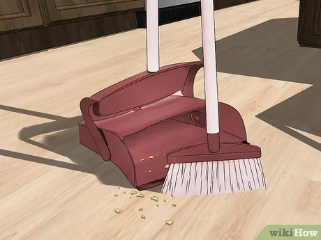 How to Get Rid of Ants in the House: 11 Steps (with Picture