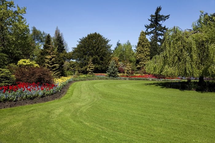 By following these steps, it is possible
to achieve a perfectly manicured garden