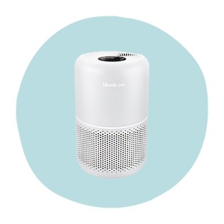Best Air Purifiers for Pets, Allergies, Smoke, and Mo