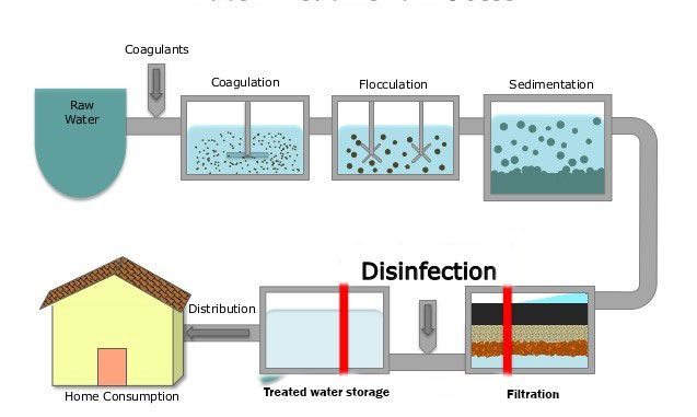 Steps of water purification process - Online Biology Not