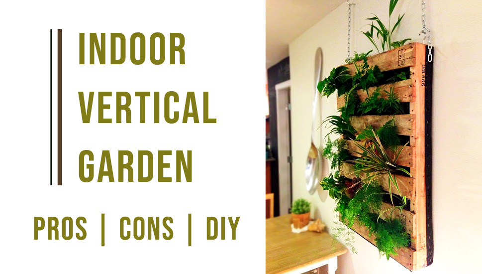 Basics that you should definitely
consider for your indoor garden