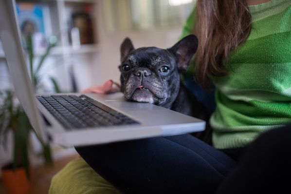 How to Work From Home: 20 Tips From People Who Do It Successful
