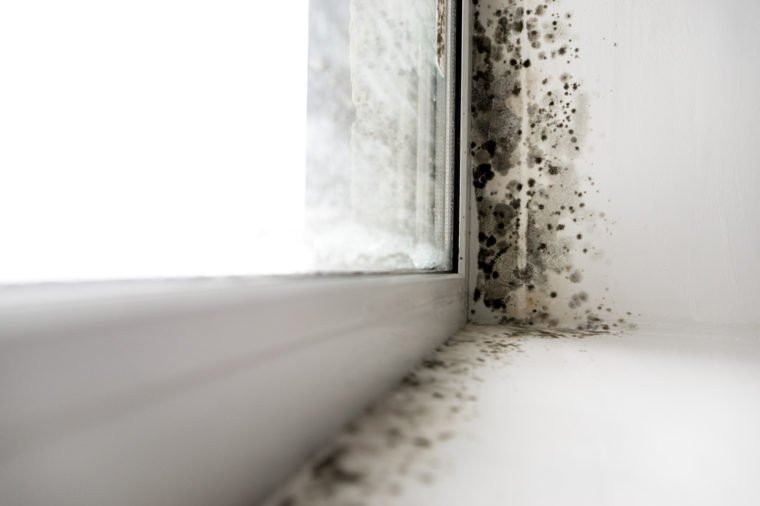 Signs Your Home Has a Mold Problem | Reader's Dige