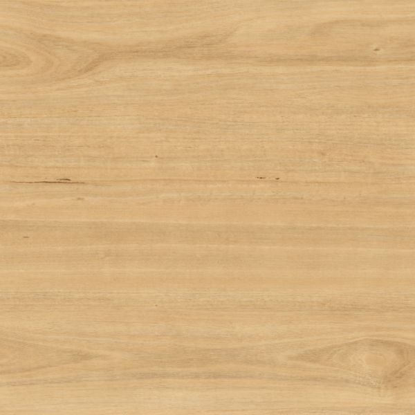 Tasmanian Oak: 3X388801 | Armstrong Flooring Commerci