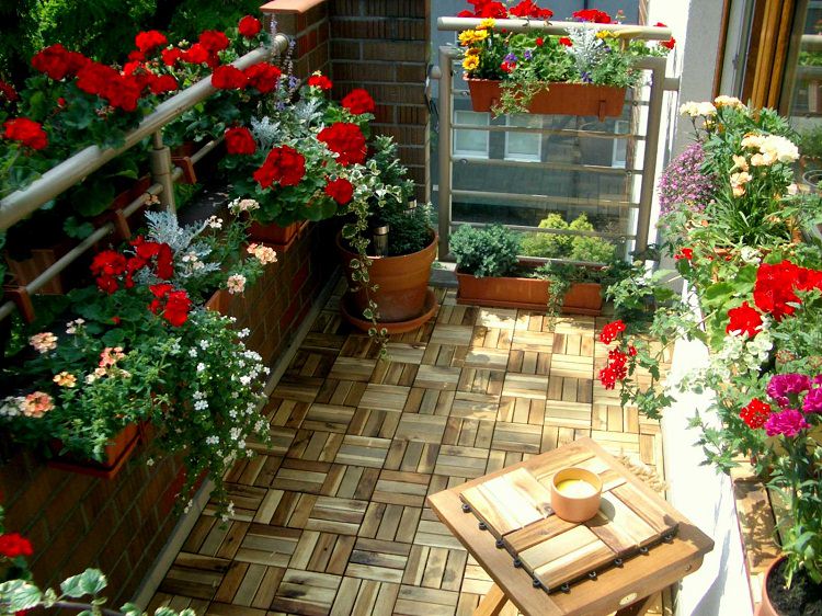 18 Balcony Gardening Tips to Follow before Setting up a Balcony .