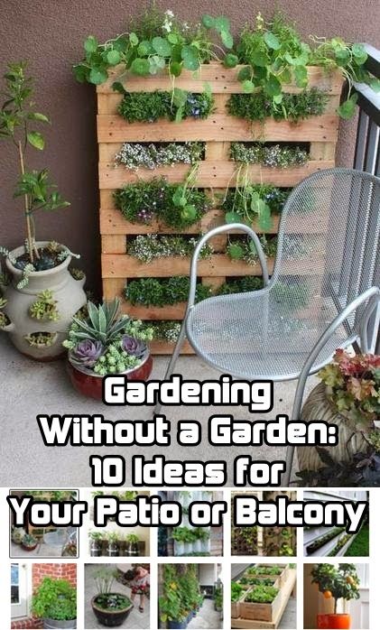 Gardening Without a Garden: 9 Ideas for Your Patio or Balcony .