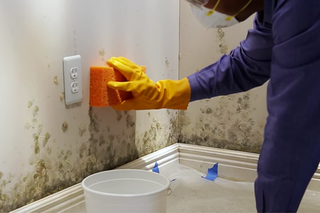 How to Remove Mold From Wall | DIY: True Value Projec