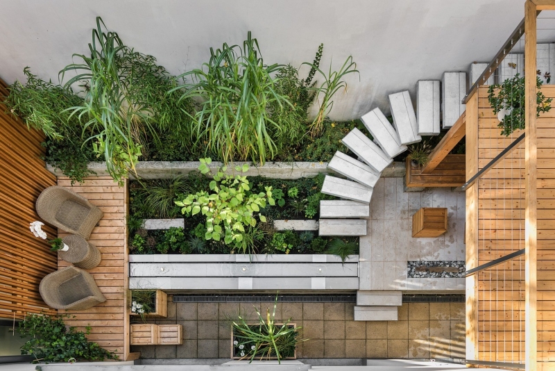 How to Design a Minimalist Garden on a Budget - David Sava
