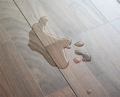 Your Floors Are Creaking, What Do You Do? | Discount Flooring .