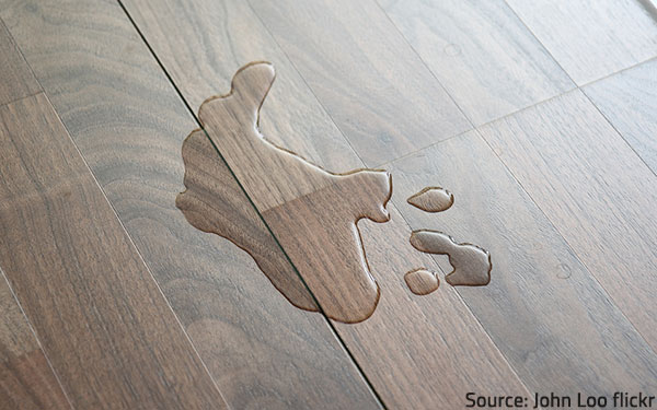 Step-by-Step Guide on How to Fix a Laminate Floor that Got W