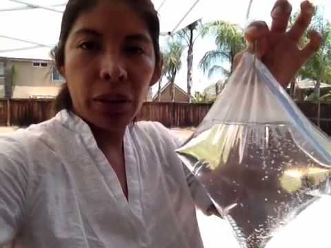 Getting rid of outdoor flies - YouTu