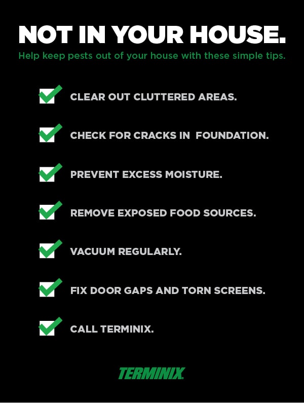 Help Keep Bugs Out of House | Termin